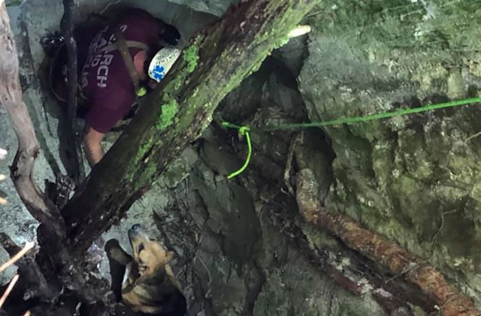 Tierische Rettungsaktion in den USA: Leckerli rettet Hund aus neun Meter tiefem Loch