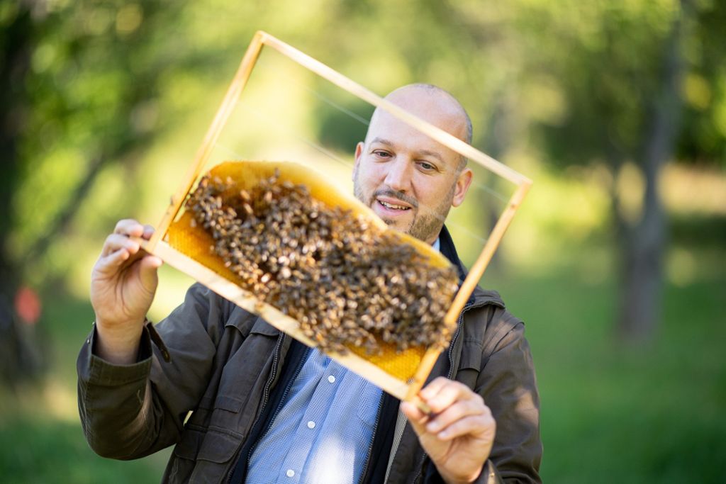 Berufsimker Tobias Miltenberger liebt Bienen und will sie retten: Der Bienenflüsterer von Baden-Württemberg
