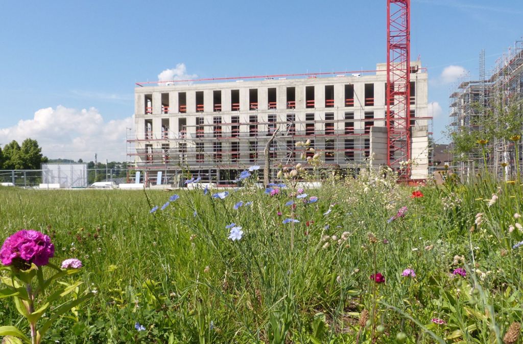 Bülow AG plant Komplex mit Hotel und Wohnungen auf dem Gelände: Erstes Richtfest im Neckarpark