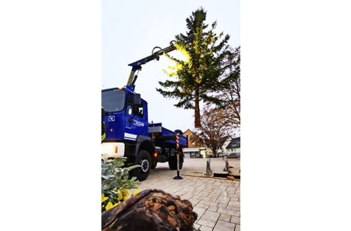 Der Weihnachtsbaum wird in die Hülse auf dem Kelterplatz gesetzt. Foto: Bürgerverein Hofen (z)
