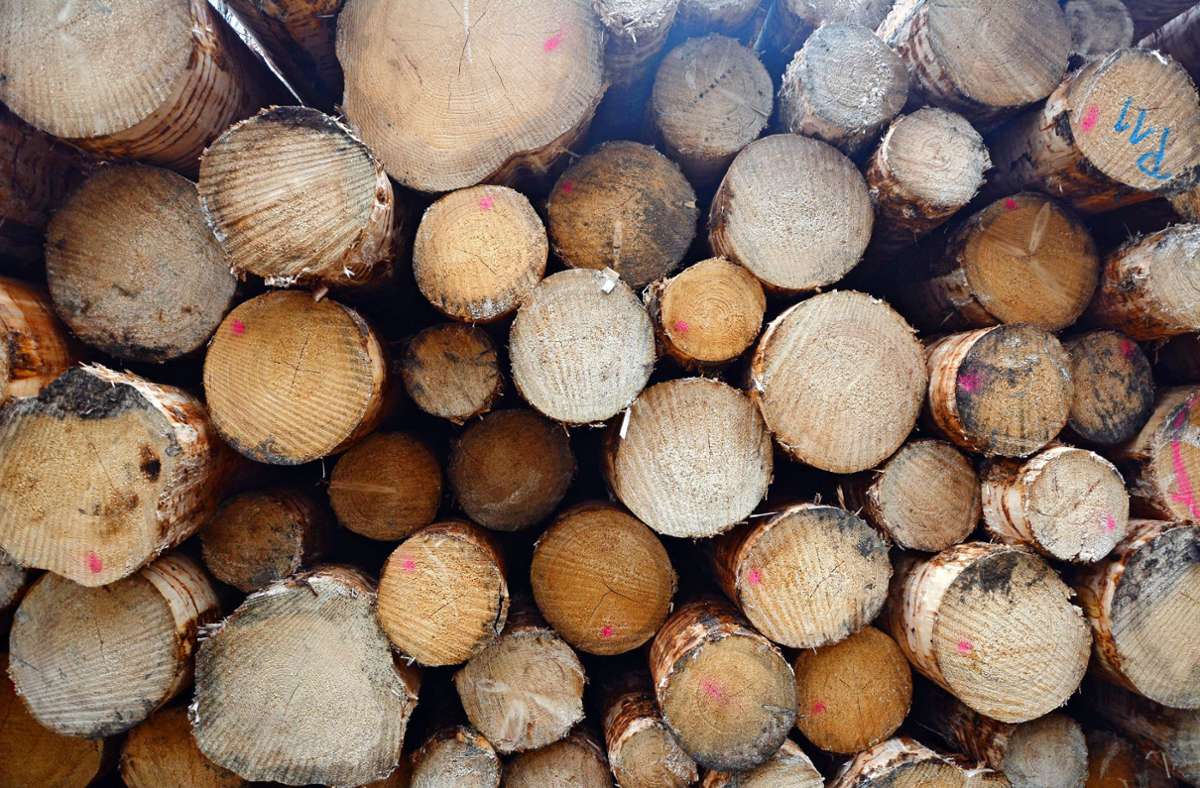 Forstwirtschaft in Leinfelden-Echterdingen: Der Wald bleibt ein Zuschussgeschäft