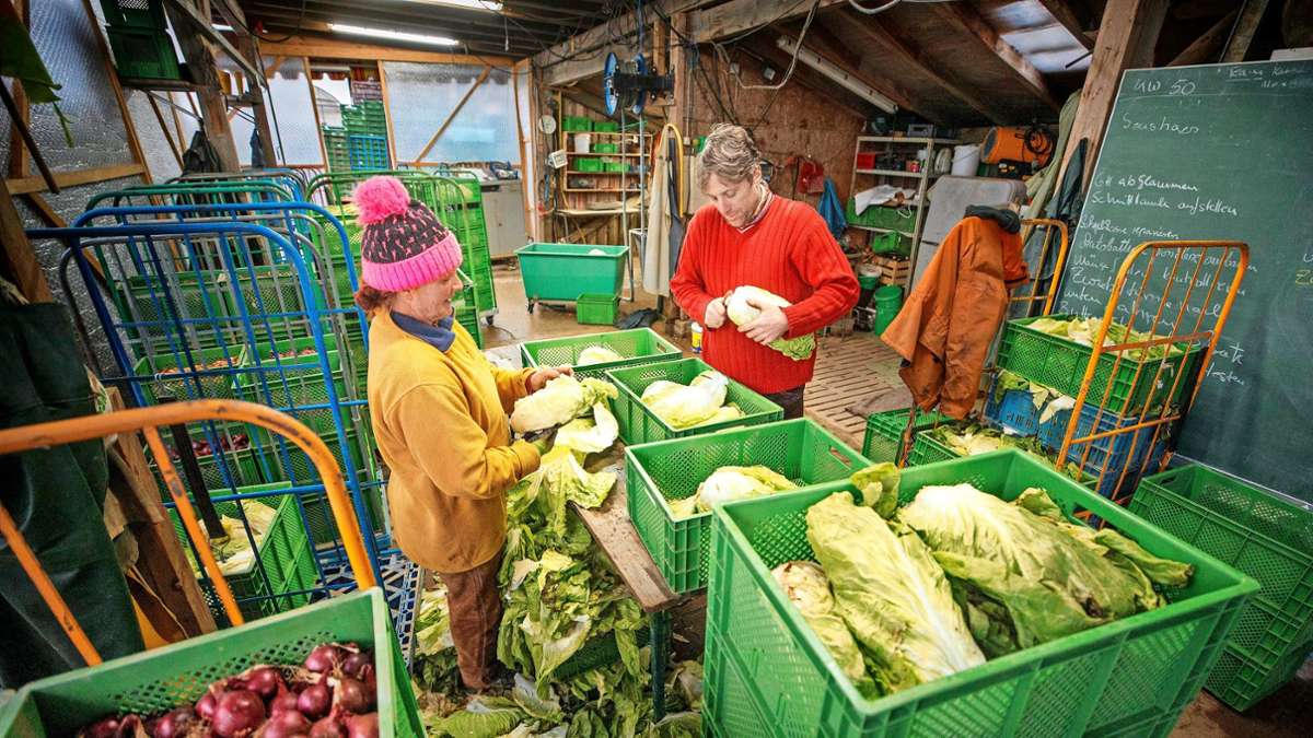 Solidarische Landwirtschaft Spiegelberg: Faires Einkommen für Bauern, frische Ware für Kunden