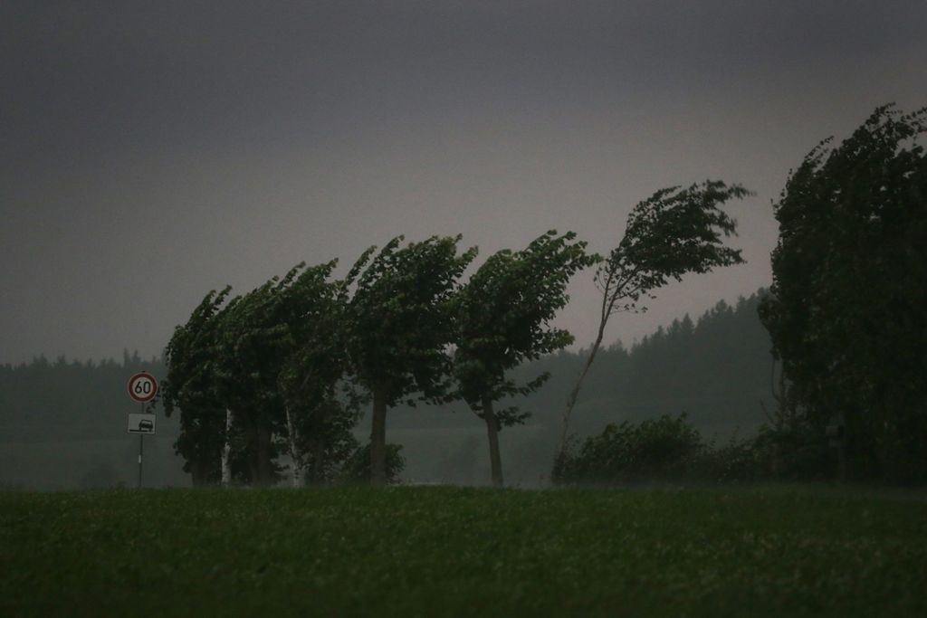 Am Dienstag erwartet der DWD stürmische Böen im Land: Sturmtief aus der Ostsee bringt Regen und Wind
