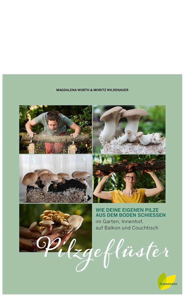 Praktische Tipps über den Anbau von Pilzen zu Hause liefert das Buch der Pilzgarten-Besitzer Magdalena Wurth und Moritz Wildenauer: Pilzgeflüster. Löwenzahn Verlag, 22,90 Euro.