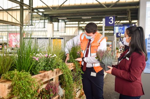 Auszubildende der Bahn kümmern sich um die Blumen am Stuttgarter Hauptbahnhof. Foto: Lichtgut - Ferdinando Iannone