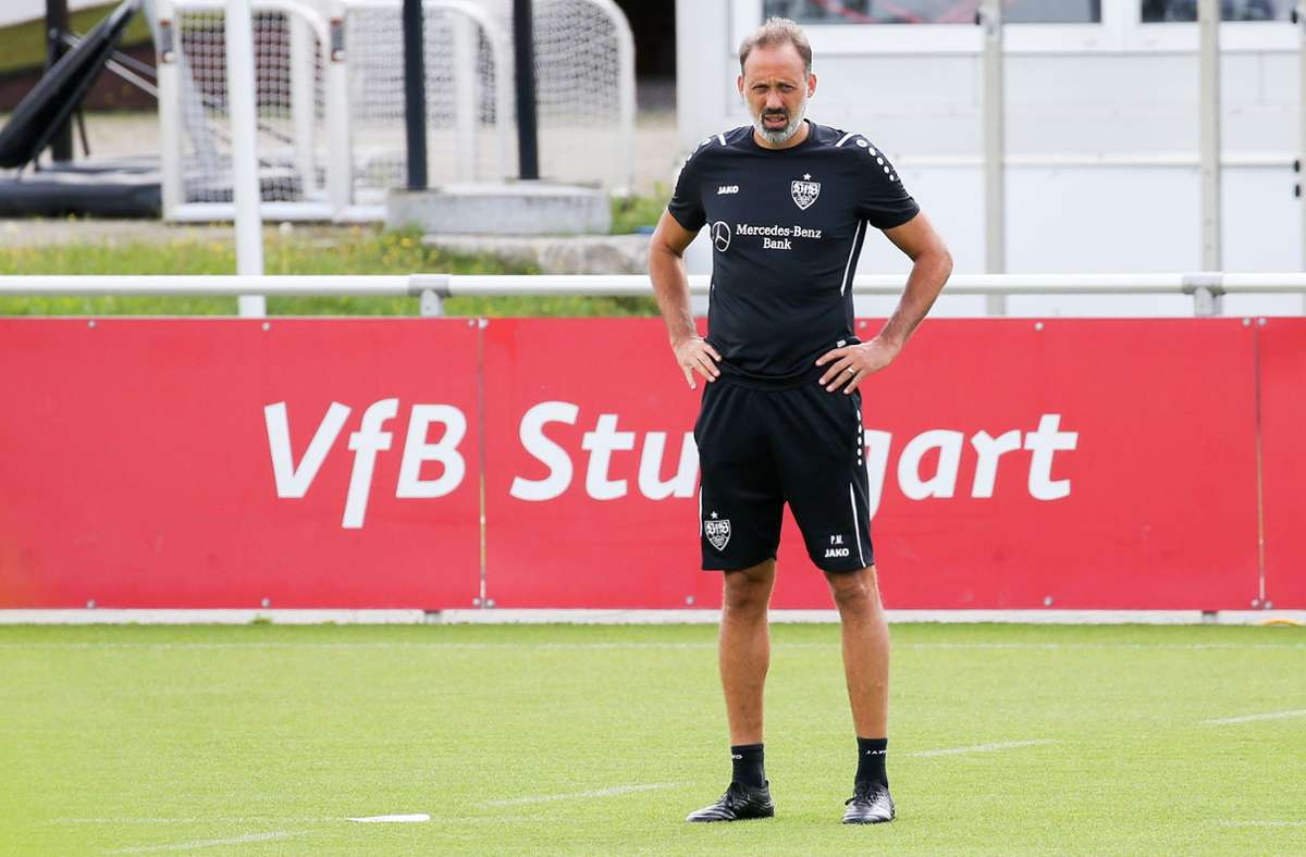 VfB Stuttgart gegen SC Freiburg: Auf diese Elf setzt Trainer Pellegrino Matarazzo