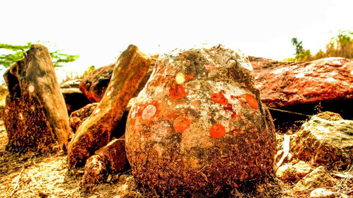 Indien: Als göttlich verehrter Stein entpuppt sich als Dino-Ei
