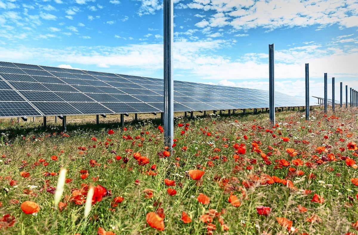 EnBW in Brandenburg: Vom Kohlestrom zum größten Solarpark Deutschlands