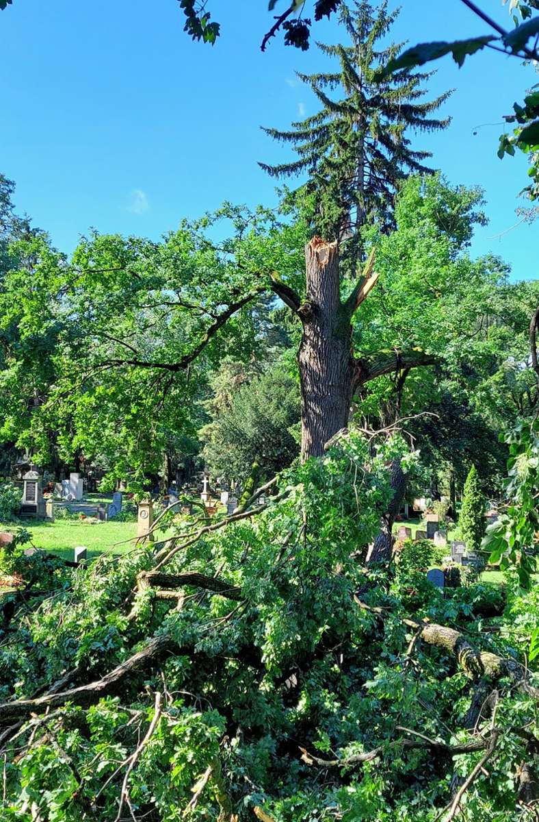 Ein Baum auf dem Stuttgarter Fangelsbachfriedhof, der den Sturmböen nicht Stand gehalten hat.