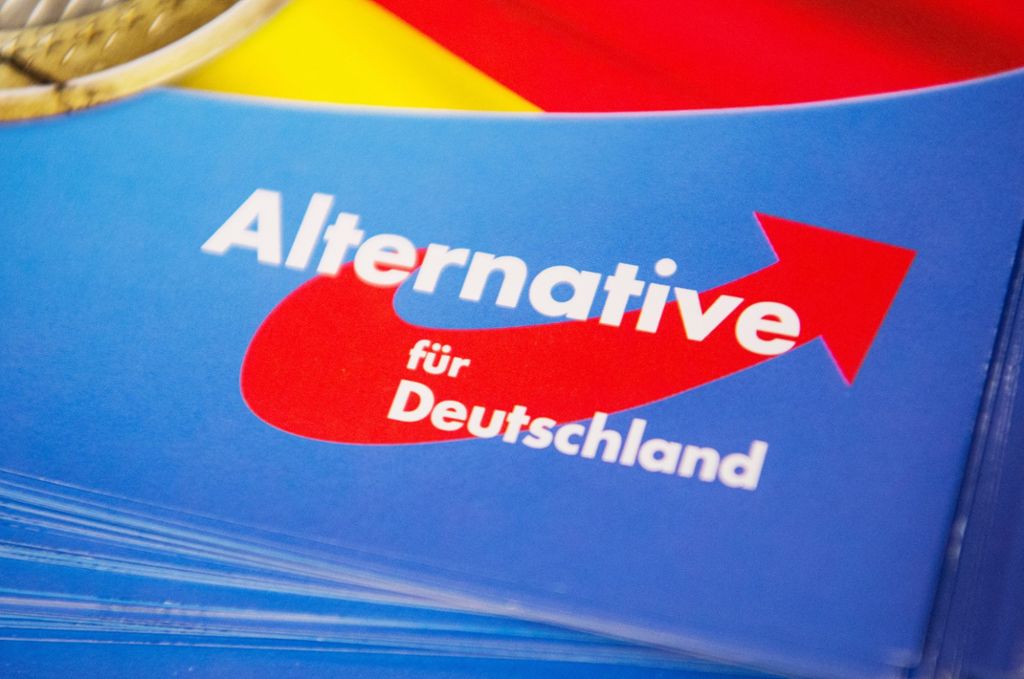 Landes-AfD-Fraktion will nach der nächsten Wahl mehr Sitze im Landtag besetzen: AfD strebt bei nächster Landtagswahl 20 Prozent an