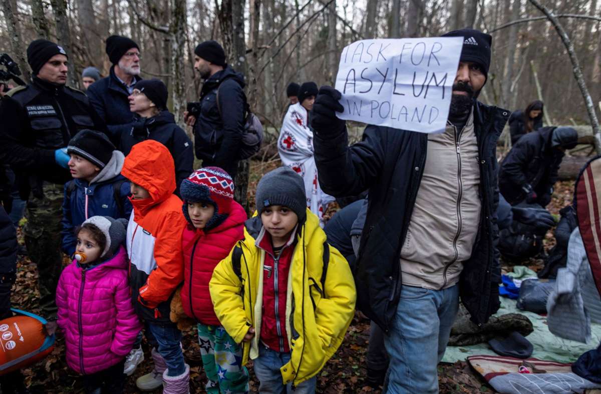 Sie wollen unbedingt in die EU: eine kurdische Familie aus dem Irak campiert seit etwa 20 Tagen in den Wäldern nahe der polnischen Grenze. Foto: AFP/Wojtek Radwanski