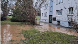 Wasser sprudelt aus dem Boden – sechs Gebäude betroffen