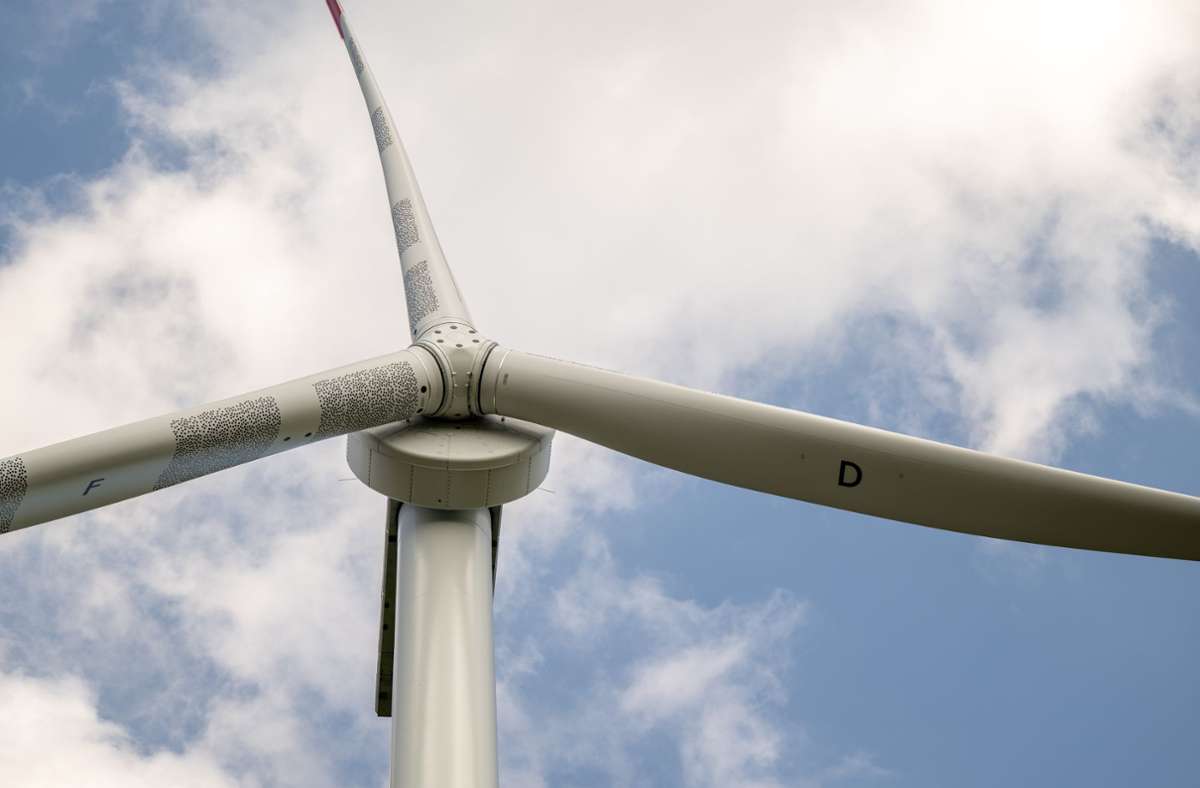 Projekt im Hardtwald: Erstes positives Signal für   Windräder-Idee
