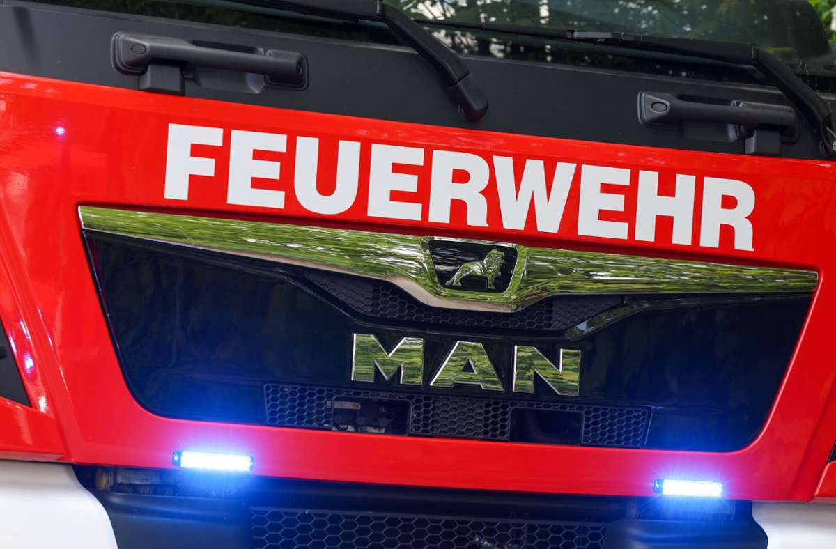 Bremerhaven: Feuerwehr rettet Entenfamilie von Dach