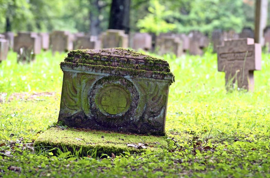 Immer wieder kommt es zu Beschwerden von Angehörigen – Friedhofsamt hofft auf bessere Finanzausstattung: Zu wenig Geld für Kriegsgräberpflege