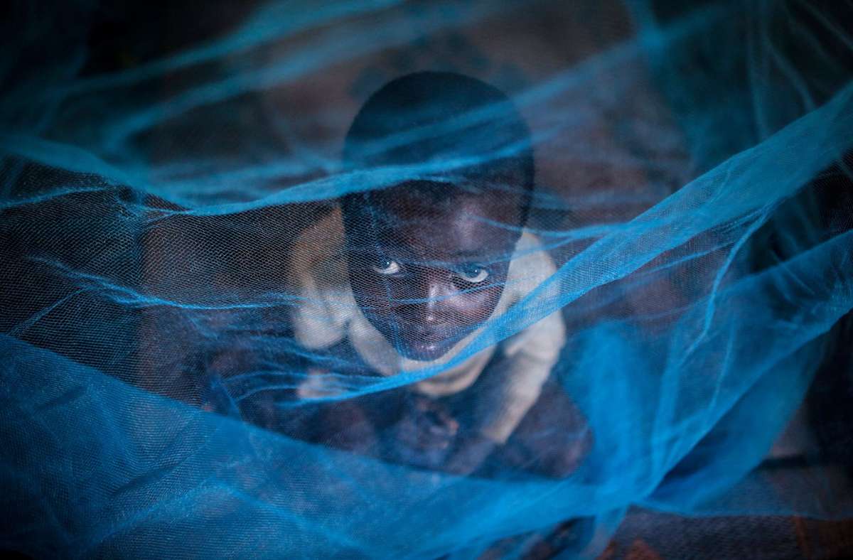 Malaria und Corona-Pandemie: WHO warnt vor mehr Malaria-Toten wegen Corona-Pandemie