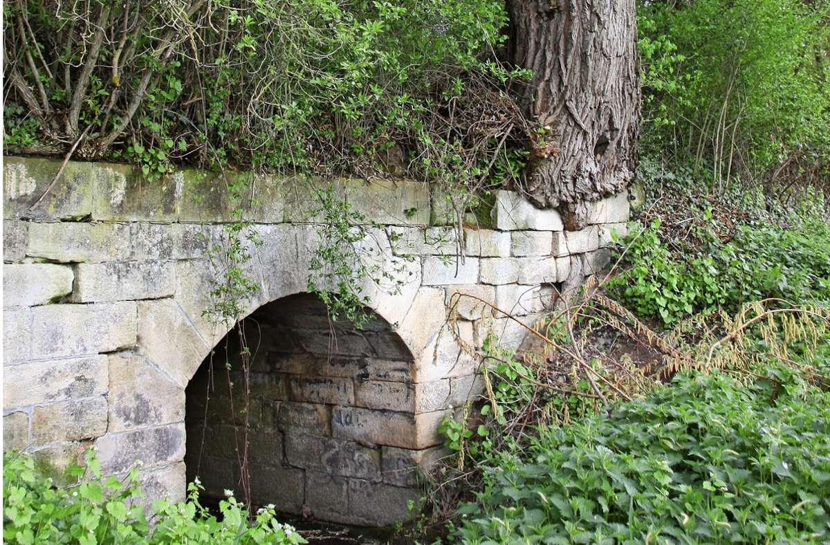 Historisches auf der Filderebene: Droht ein Baum eine Brücke zu sprengen?