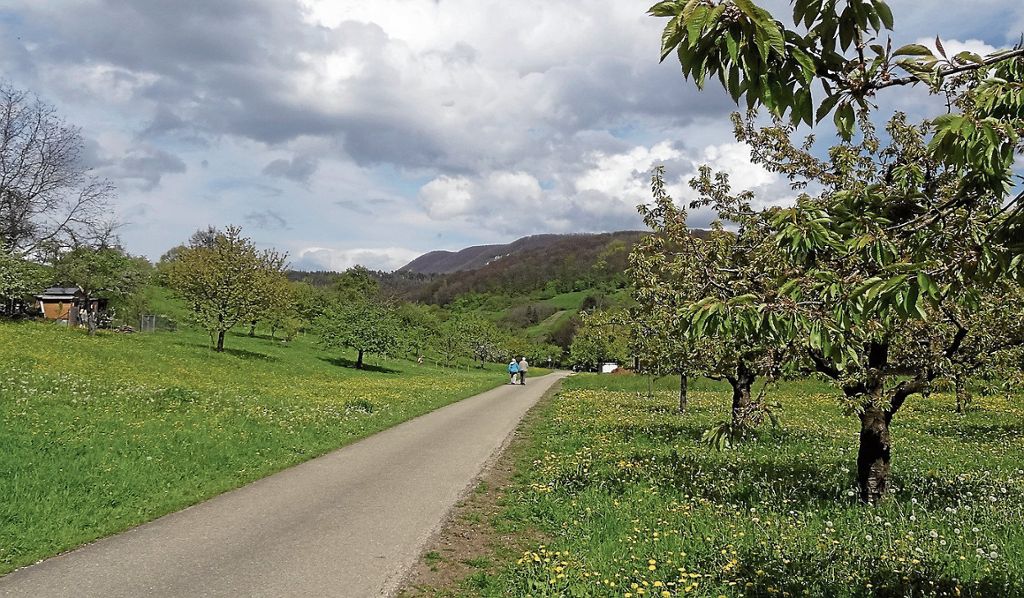 Vom Kelterwiesenweg bei Hepsisau hat man eine Aussicht auf den Egenfirst bei Weilheim und den Boßler dahinter.