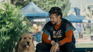 Hollywood-Star: Trotz Tierhaar-Allergie: Mark Wahlberg liebt seine Hunde