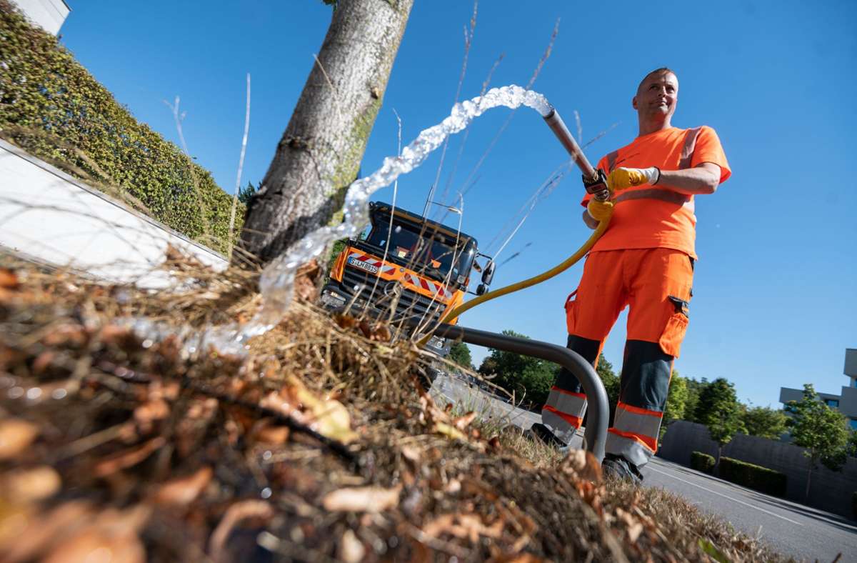 Nicht nur im Stuttgarter Kessel ( Foto) werden Stadtbäume gewässert, auch in Fellbach und Waiblingen sind die Gießtrupps schwer im Einsatz. Foto: picture alliance/dpa/Marijan Murat