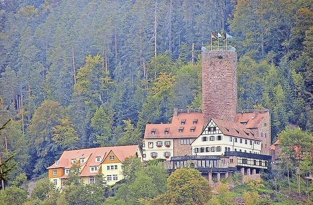Ausflugstipp: Die Burg in Bad Liebenzell: Auf den Spuren des Erkinger-Riesen