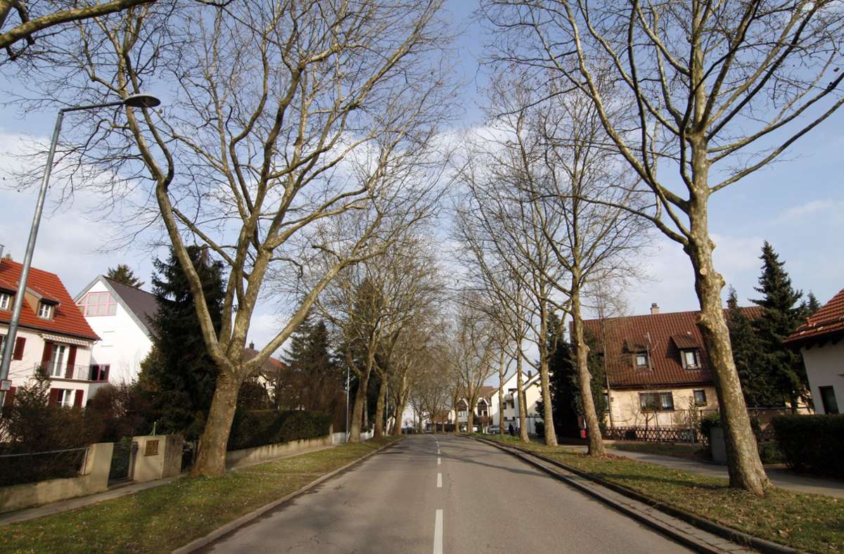 Die Korntaler Straße führt durch den Süden Stammheims. Hier ziehen zwar etwas mehr Menschen weg als von den anderen Stadtteilen im Ranking, dafür wohnen hier viele Menschen länger als 15 Jahre.