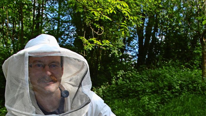 Diebstahl von Bienenvölkern nimmt zu