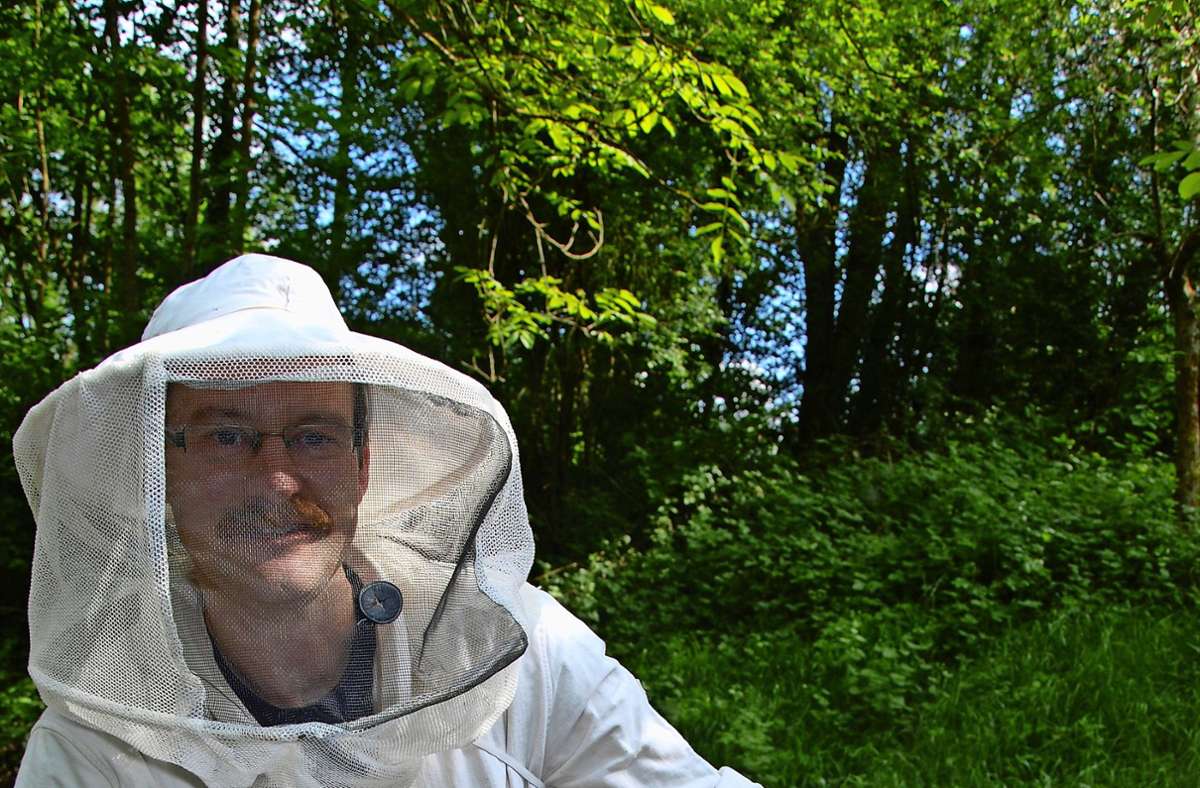 Bienen in Stuttgart-Untertürkheim: Diebstahl von Bienenvölkern nimmt zu