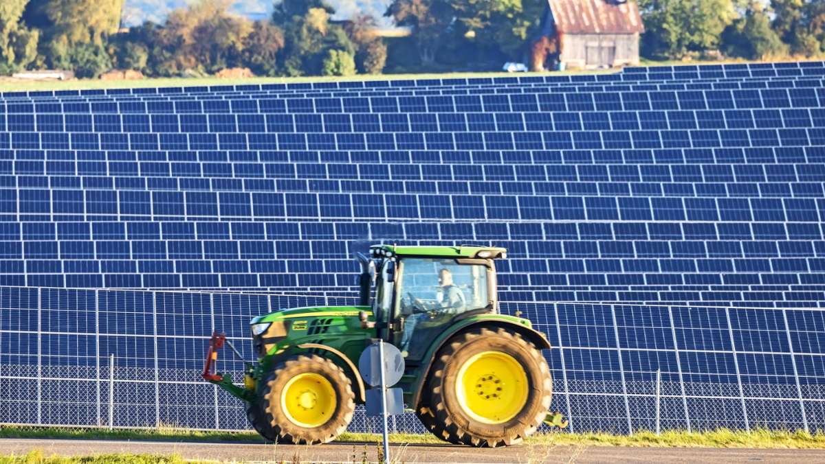 Solarpark  in Steinheim: Landwirt will  Strom  statt Mais ernten