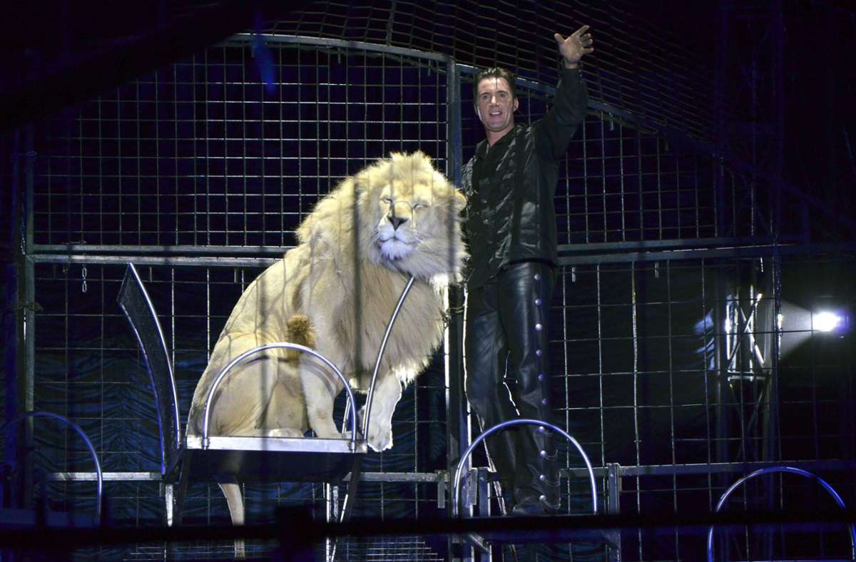 Zirkus in München: Circus Krone trauert um Löwen King Tonga