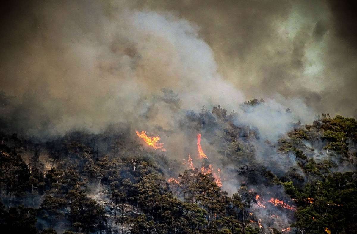 Auf Rhodos wütend derzeit unkontrollierte Waldbrände.