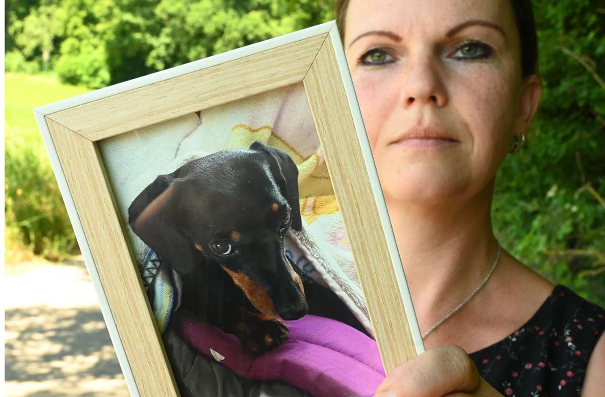 Auseinandersetzung mit Ludwigsburger Tierheim: Verzweifelter Kampf um ein Dackelmädchen
