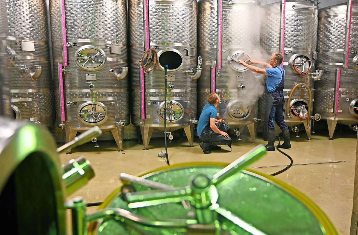 Weingut Merkle in Ochsenbach: Dampf machen kurz vor der Weinlese
