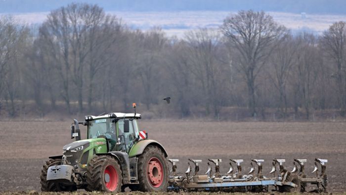 Europas Bauern sollen mehr Weizen produzieren