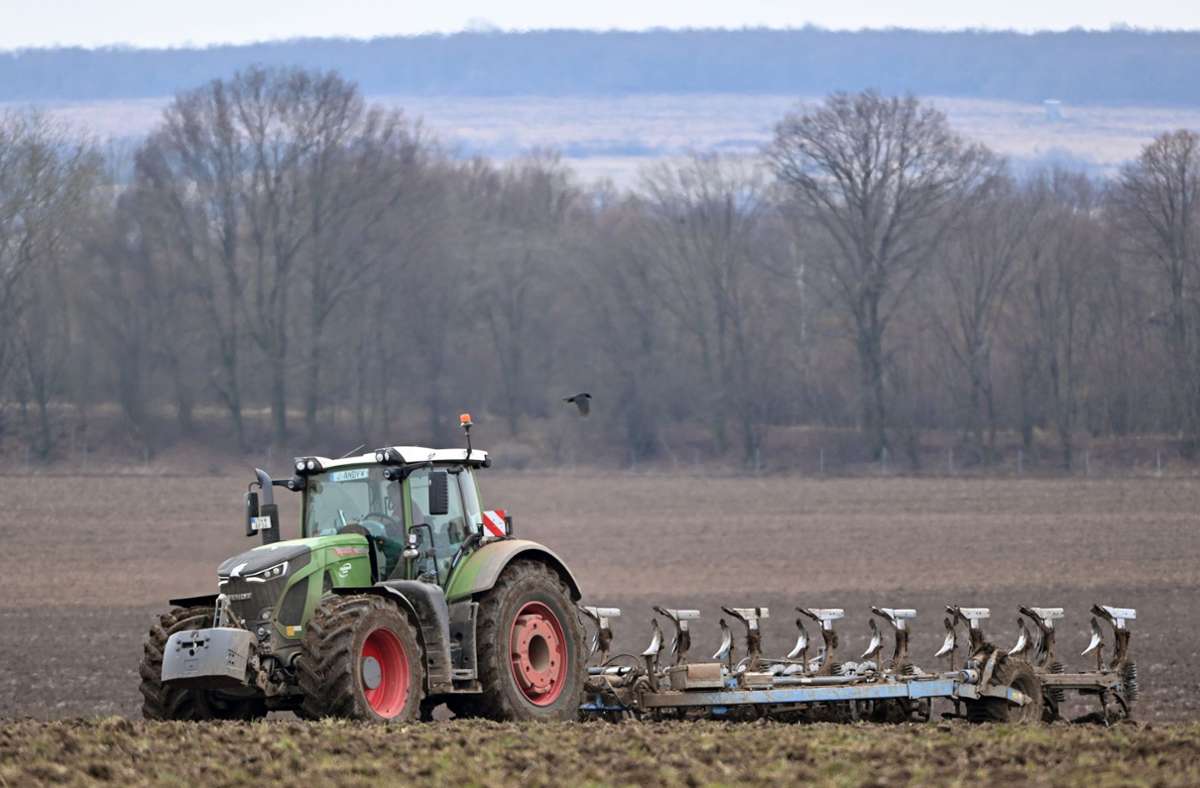 Krieg in der Ukraine: Europas Bauern sollen mehr Weizen produzieren