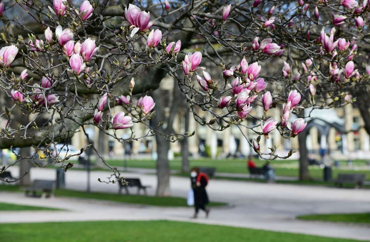 Wetter in Stuttgart: Der Frühling kommt  nicht in die Puschen