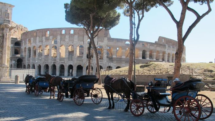 Rom verbannt umstrittene Pferdekutschen in Parks