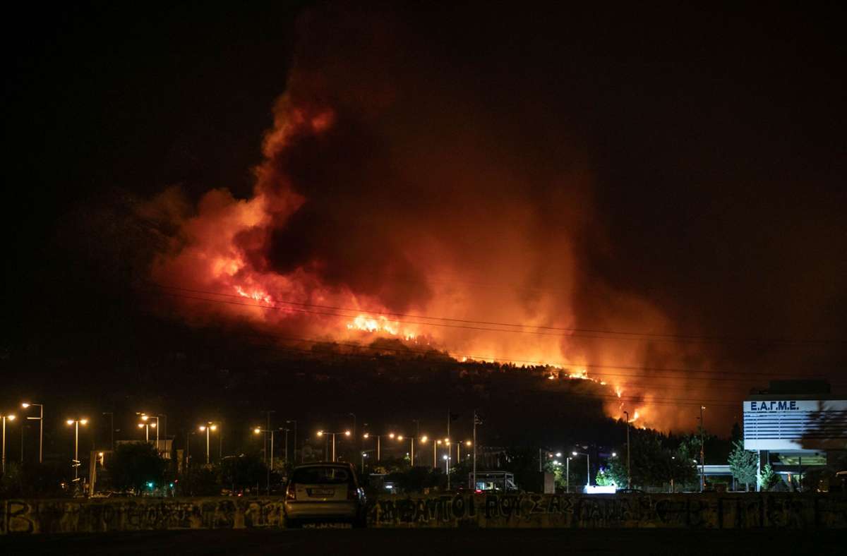 Verheerende Waldbrände: Feuer wüten weltweit und sorgen für Zerstörung