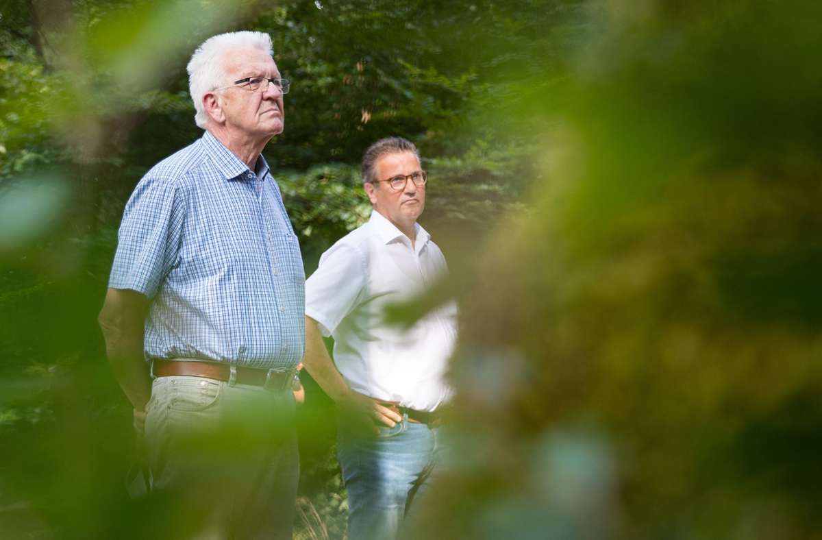 Ministerpräsident Kretschmann besichtigt Waldschäden: Das große Buchensterben
