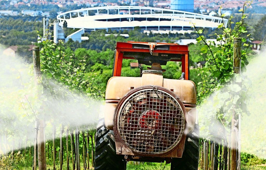 Landwirte warnen vor den Auswirkungen des Volksbegehrens „Pro Biene“: Volksbegehren gefährdet Existenz des Weinbaus