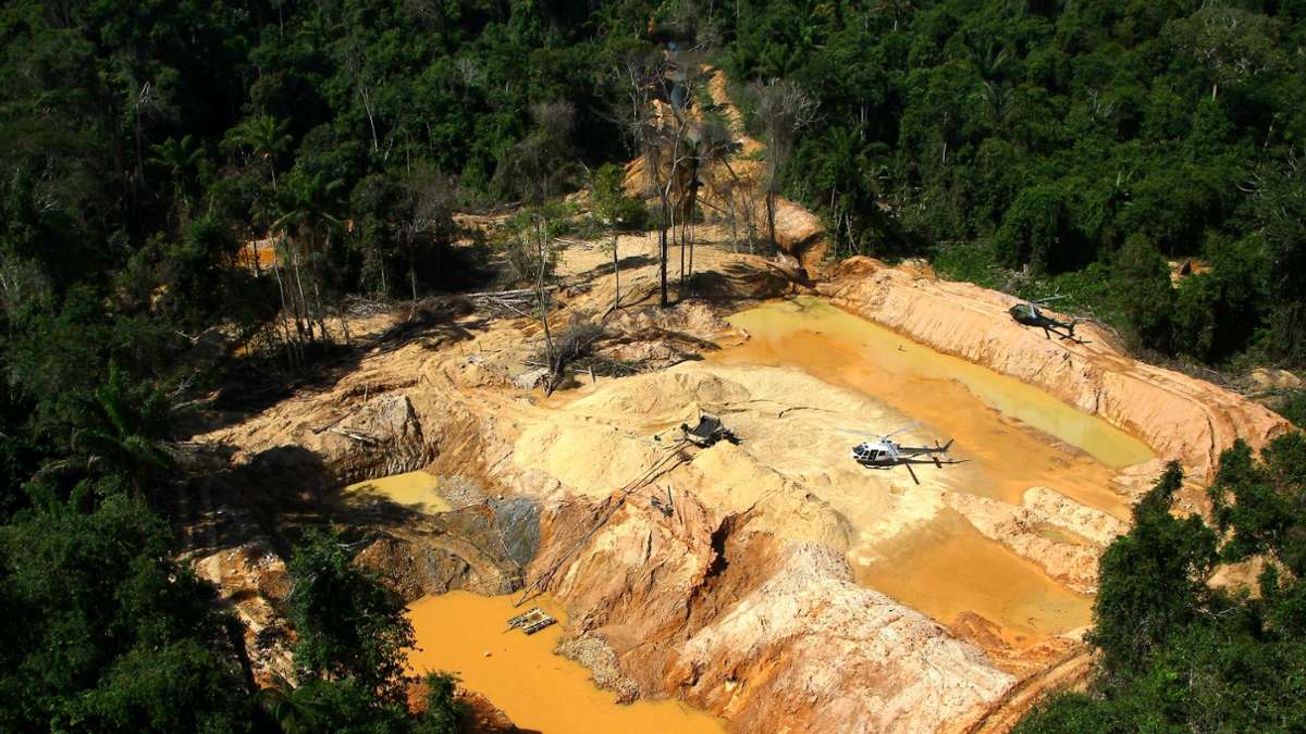 Greenpeace: Goldschürfer zerstören vier Fußballfelder Regenwald am Tag