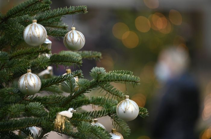 Übermorgen – die Nachhaltigkeitskolumne: Weihnachtsbaum kaufen – geht das mit gutem Gewissen?