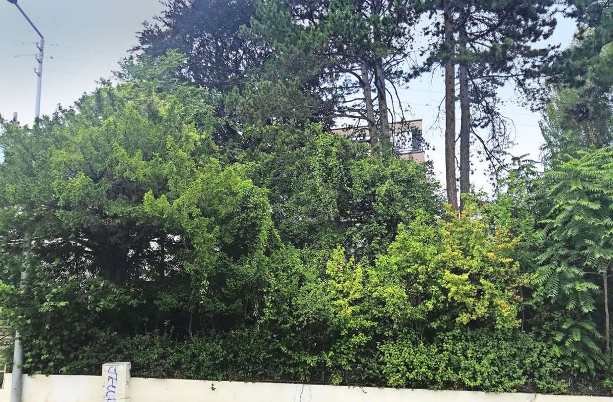 Suchbild mit Weltkulturerbe. Das Einfamilienhaus von Le Corbusier ist wegen der hohen Bäume nicht mehr zu sehen.