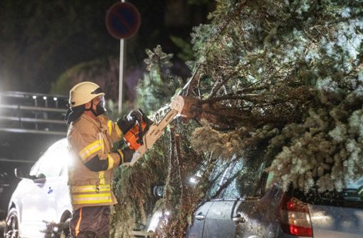 Die Feuerwehr zersägt einen Baum in Fellbach, der auf ein parkendes Auto gestürzt war. Foto: dpa/Simon Adomat