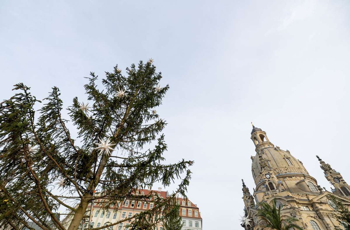 Frauenkirche in Dresden: Viel Spott für kahlen Weihnachtsbaum