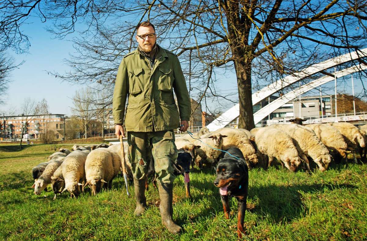Tibor Wodetzky aus  Ostfildern: Hirten wird Tierquälerei vorgeworfen