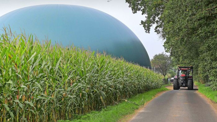 Biogasmenge kann deutlich erhöht werden