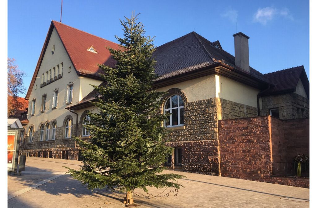 : Weihnachtsbaum am Altenburgplatz