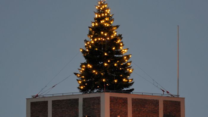 Der Weihnachtsbaum leuchtet bald wieder