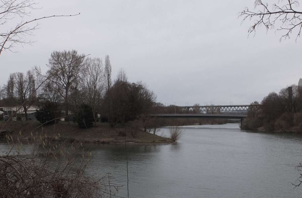 Stadt am Fluss: Große  Sehnsucht nach dem Neckar